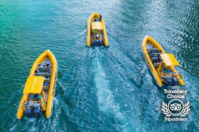 Dubai High-Speed RIB Return Tour to Atlantis The Palm - Experience Highlights