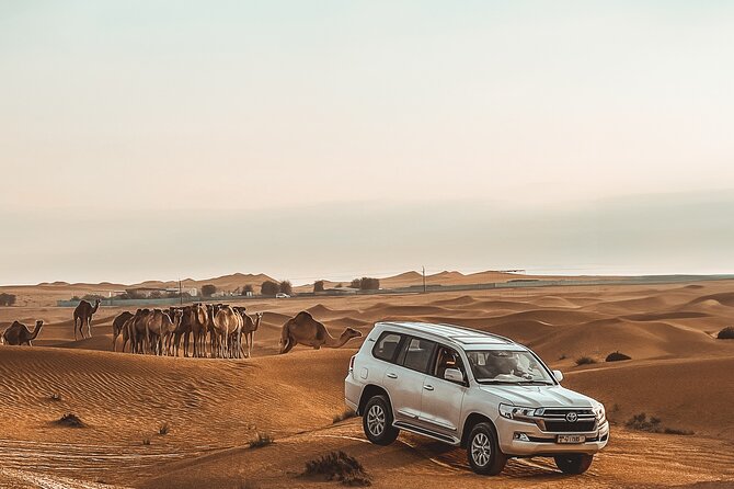 Dubai Hot Air Balloon Ride With 4X4 Transfers - Additional Information and Directions