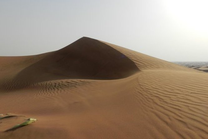 Dubai Hot Air Balloon With Amazing Views of Desert Dubai & Falcon Show - Inclusions