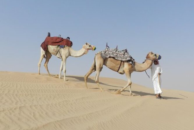 Dubai Hot Air Balloon With Amazing Views of Desert Dubai & Falcon Show - The Sum Up