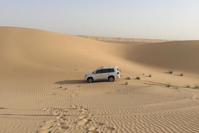 Dubai Kids Friendly Morning Safari - Private Car - Visual Experience