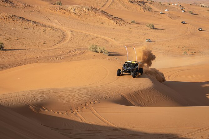 Dubai Long Self-Drive Quadbike With Camel and Falcon - Falcon Interaction
