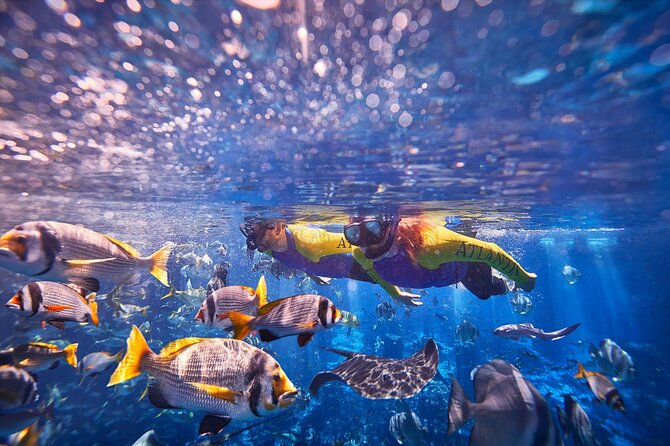 Dubai Lost Chambers Ultimate Snorkel Experience - Snorkeling Equipment Provided