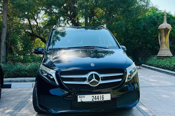 Dubai Luxurious Full Day Car Tour With Driver - Optional Activities and Additional Costs