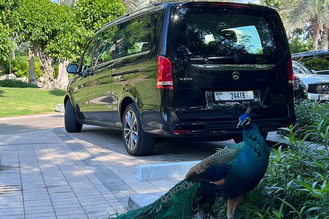 Dubai Luxurious Full Day Car Tour With Driver - Terms and Conditions