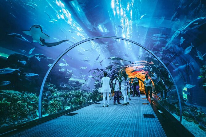 Dubai Mall Aquarium and Underwater Zoo Ticket - Ticket Details and Booking Information