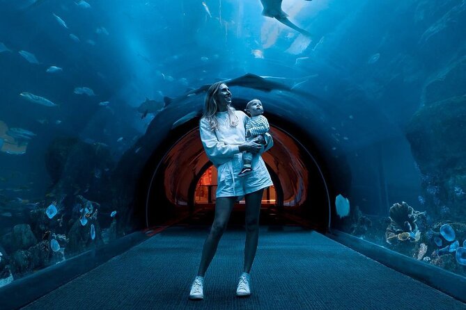 Dubai Mall Aquarium and Underwater Zoo Ticket - The Sum Up