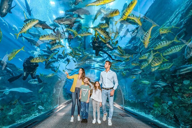 Dubai Mall Aquarium & Underwater Zoo Ticket With Private Transfer - Overview of Dubai Aquarium and Underwater Zoo