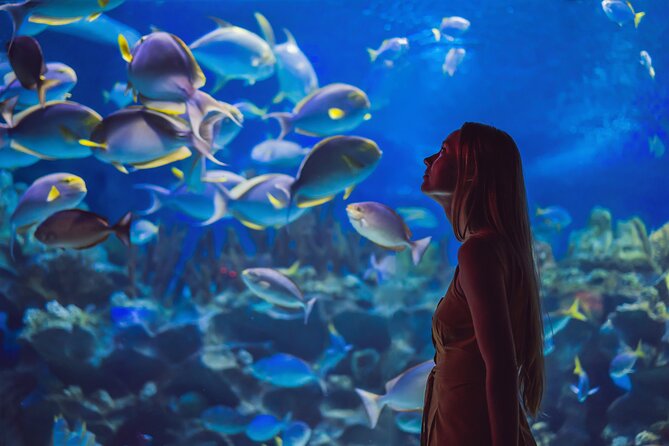 Dubai Mall Aquarium & Underwater Zoo Ticket With Private Transfer - Additional Information and Accessibility