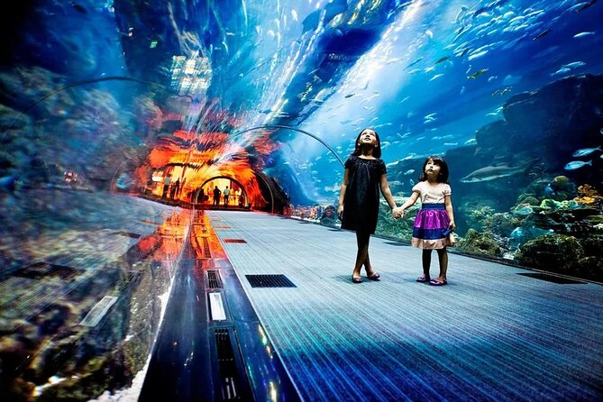 Dubai Mall Aquarium & Underwater Zoo Ticket With Private Transfer - The Sum Up