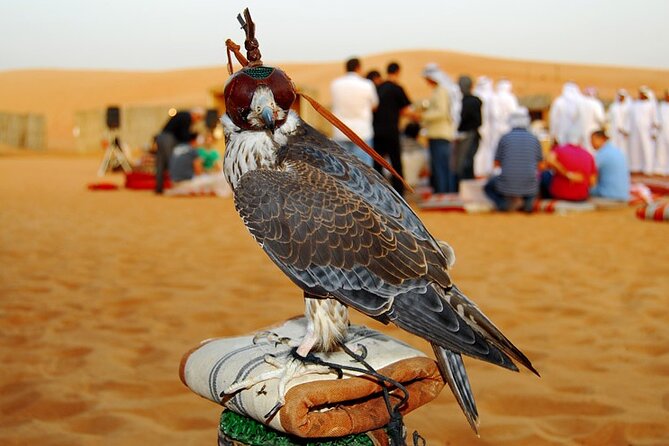 Dubai Mega Safari Quad Biking and Dune Bashing and Camel Riding With BBQ Dinner - Camel Riding Experience