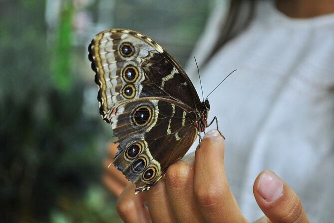 Dubai Miracle Garden Admission Ticket - Common Questions