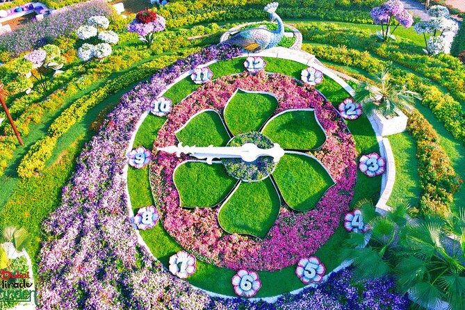 Dubai Miracle Garden and Butterfly Garden With Private Transfers - Included Services