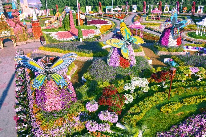 Dubai Miracle Garden and Butterfly Garden With Private Transfers - Experience Terms