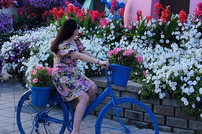 Dubai Miracle Garden and Dubai Frame Tour With Transfer - Dubai Miracle Garden
