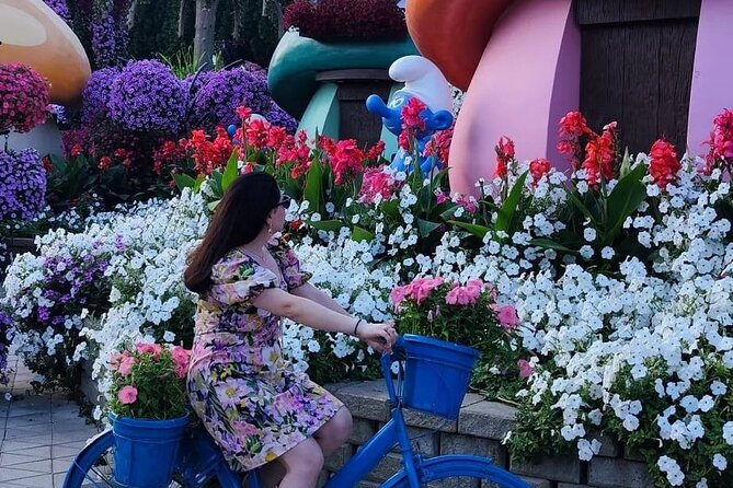 Dubai Miracle Garden and Evening Dhow Cruise Dinner Tour - Panoramic View of More Than 45 Million Flowers