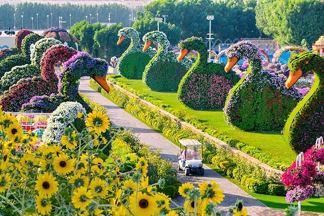 Dubai Miracle Garden Entry Tickets - Entry Restrictions and Accessibility