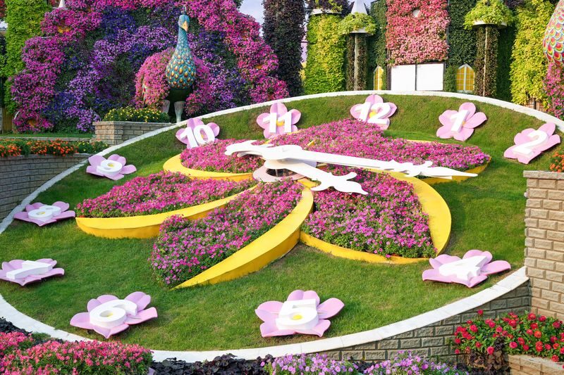 Dubai Miracle Garden Ticket - Timing your visit around heat and crowds
