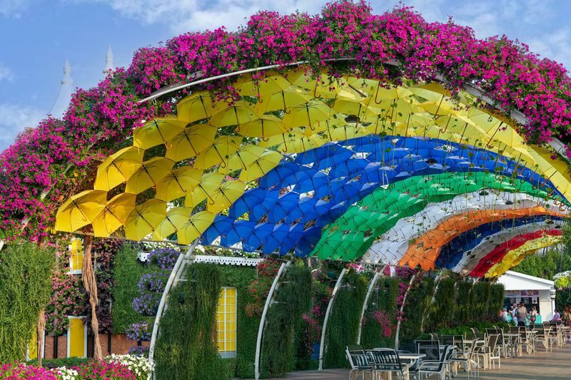 Dubai Miracle Garden Ticket - What the visit feels like on foot