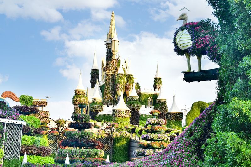 Dubai Miracle Garden Ticket - Is the ticket worth the price?
