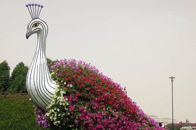 Dubai Miracle Garden Ticket With Transfer - Common Questions