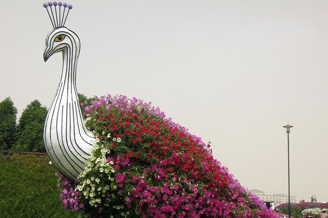 Dubai Miracle Garden Ticket With Transfer - Cancellation Policy
