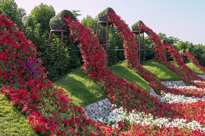 Dubai Miracle Garden Ticket With Transfer - Reviews and Tour Operator
