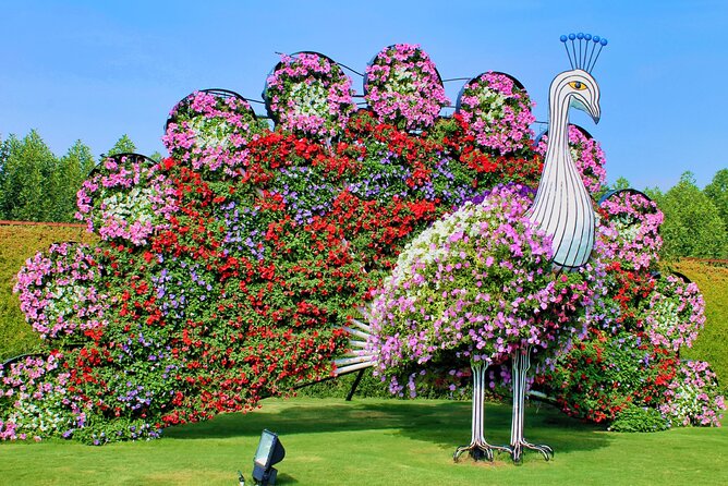 Dubai Miracle Garden Ticket With Transfer - Questions and Assistance