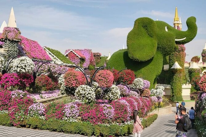 Dubai Miracle Garden Ticket With Transfers - Customer Reviews and Testimonials