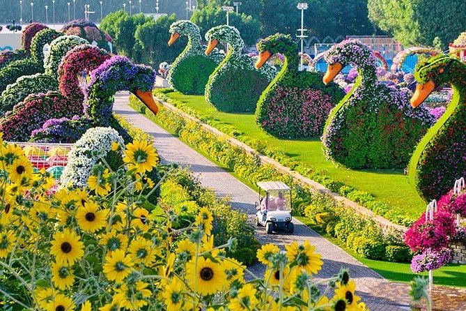 Dubai Miracle Garden With Private Round Trip Transfers - Overview of Dubai Miracle Garden