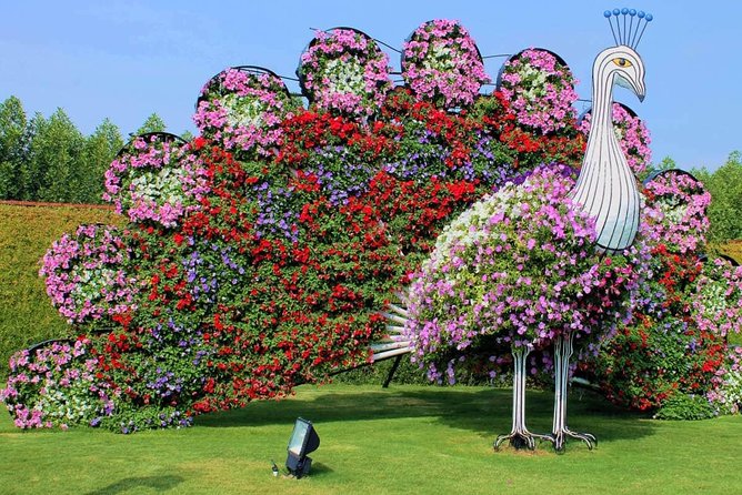 Dubai Miracle Garden With Private Round Trip Transfers - Additional Details About the Package