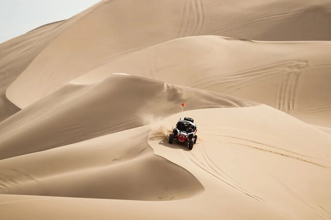 Dubai Morning Combo Safari - What to Expect