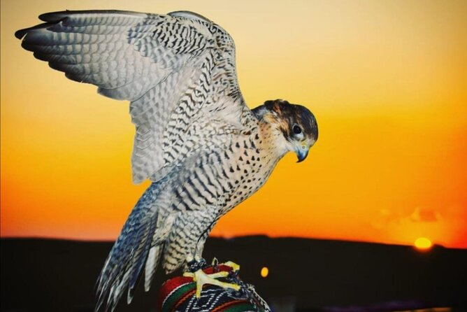 Dubai Morning Desert Safari Extreme Adventure With Sandboarding & Camel Riding - Sandboarding and Quad Bike Riding