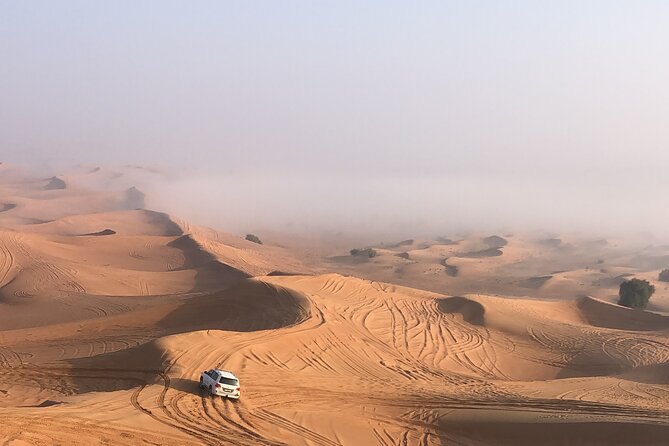 Dubai Morning Desert Safari ( Private Tour ) - Cancellation Policy and Weather Conditions
