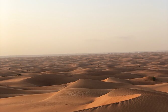 Dubai Morning Desert Safari ( Private Tour ) - The Sum Up