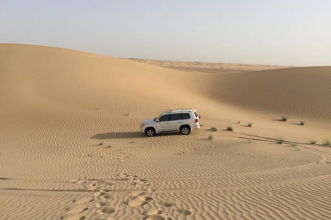 Dubai: Morning Desert Safari With 30 Minutes Buggy - Pricing and Inclusions