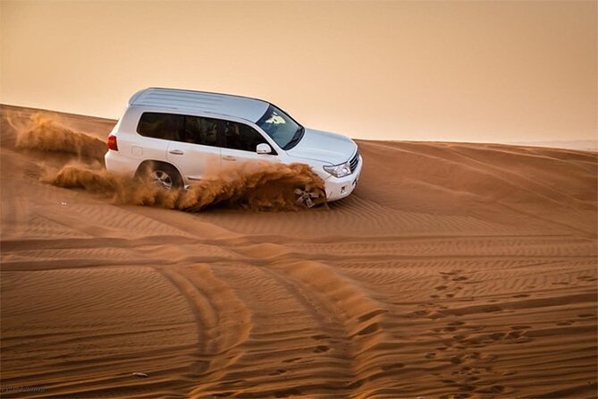 Dubai Morning Desert Safari With Camel Riding - Dune Bashing and Thrills