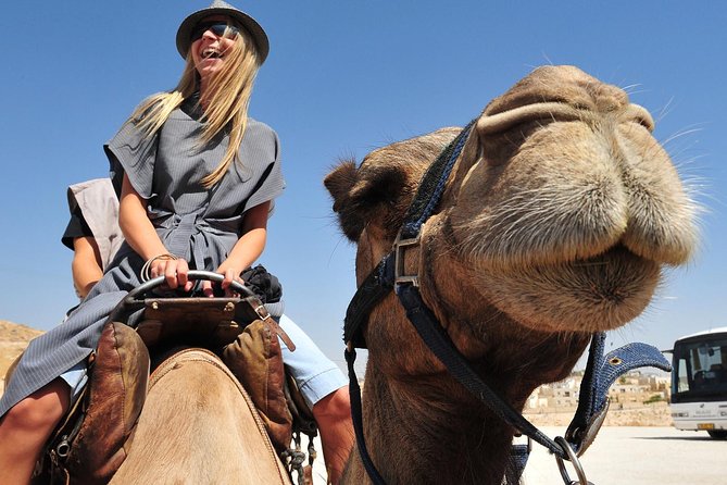 Dubai Morning Red Dunes With Camel Safari & Sandsurf - Common Questions