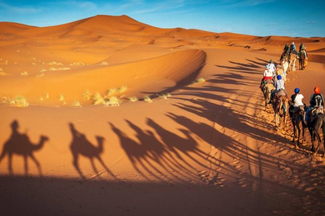 Dubai Morning Safari: Red Dunes, Sandboarding, Camel Ride & Brunch at Al Khayma - Changes and Cancellation Details
