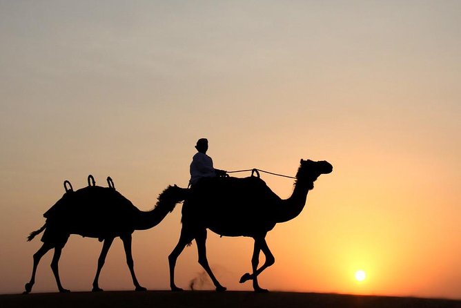 Dubai Premium Desert Safari - Experience the Ultimate Dubai Desert Adventure