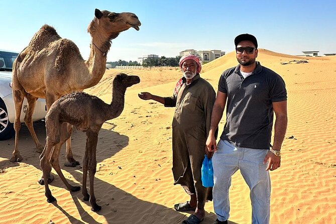 Dubai Premium Desert Safari With Dune Bash and BBQ Dinner - Questions and Help