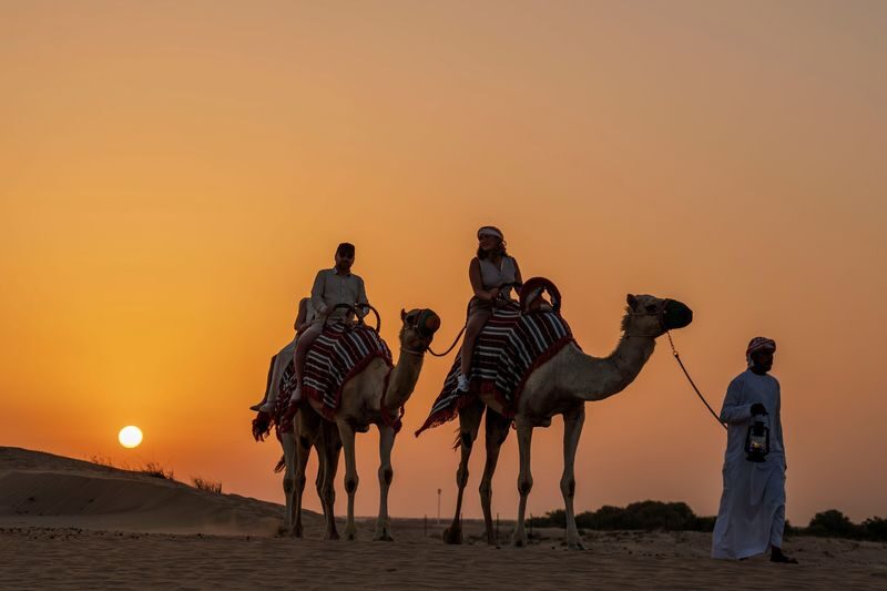 Dubai: Premium Night Desert Safari with Camel Ride & Stargazing - Sandboarding and the difference between a safari drive and dune bashing