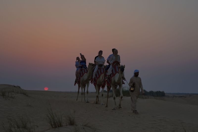 Dubai: Premium Night Desert Safari with Camel Ride & Stargazing - Dinner, package choices and what the price buys