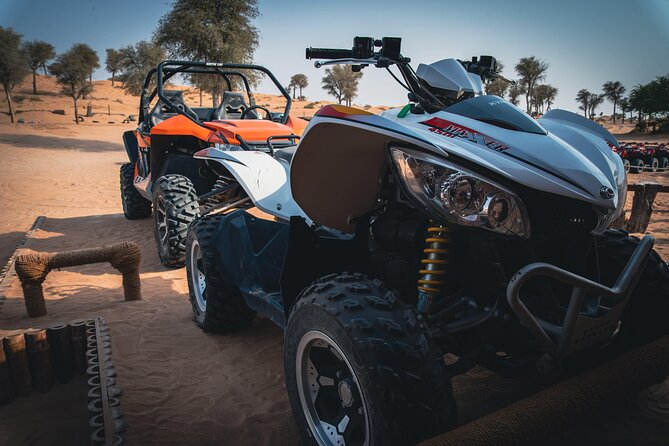 Dubai Private Buggy Ride With Dinner and Live Shows - Overview and Duration