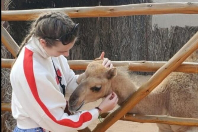 Dubai Private City Tour With Burj Khalifa Entry - Customer Testimonial