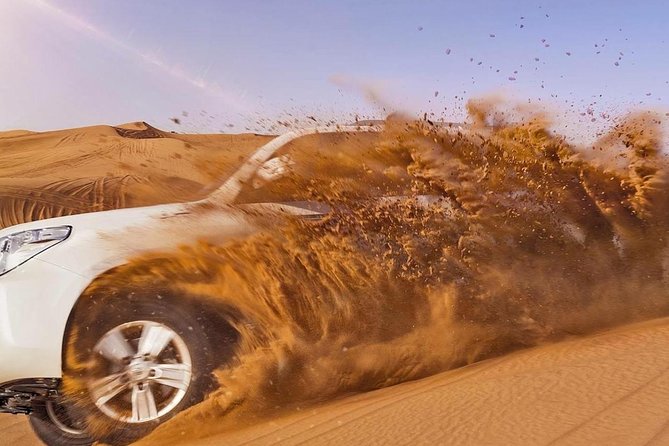 Dubai Private Red Dunes Desert Adventure With Shows and Dinner - Additional Information