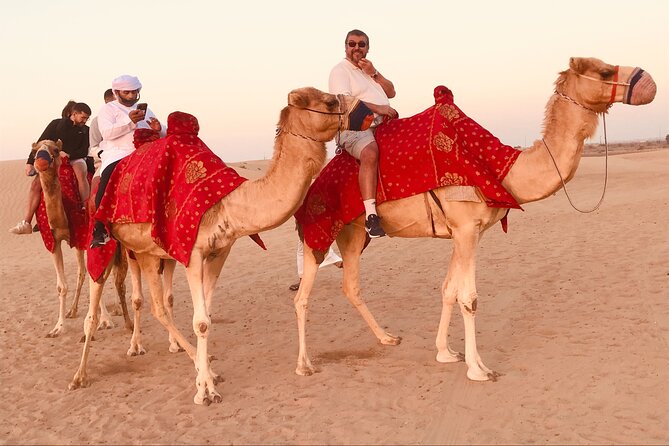 Dubai: Private Sunrise Desert Safari Camel Falcon & Sandboarding - Additional Information