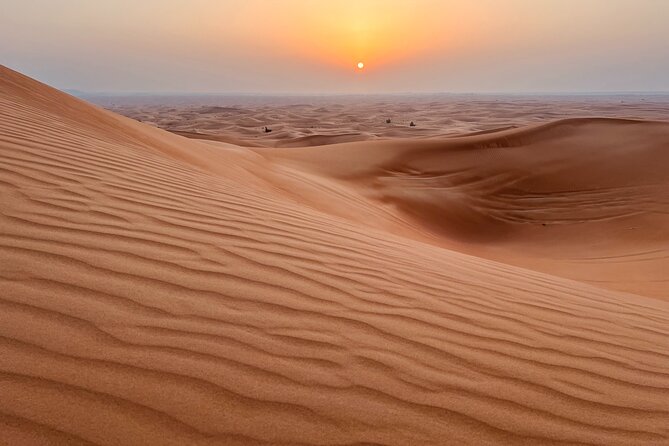 Dubai: Private Sunrise Desert Safari Camel Falcon & Sandboarding - Price and Booking Details