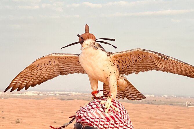 Dubai: Private Sunrise Desert Safari Camel Falcon & Sandboarding - The Sum Up