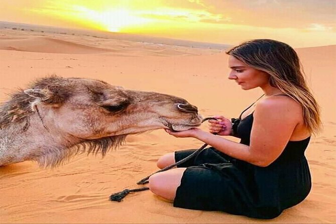 Dubai Red Dune Bedouin Desert Safari With Dune Bash and BBQ - Questions and Assistance